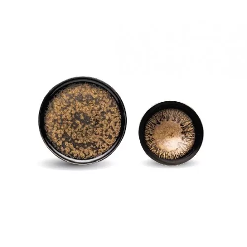 Μπωλ "Golden Flakes" 12cm